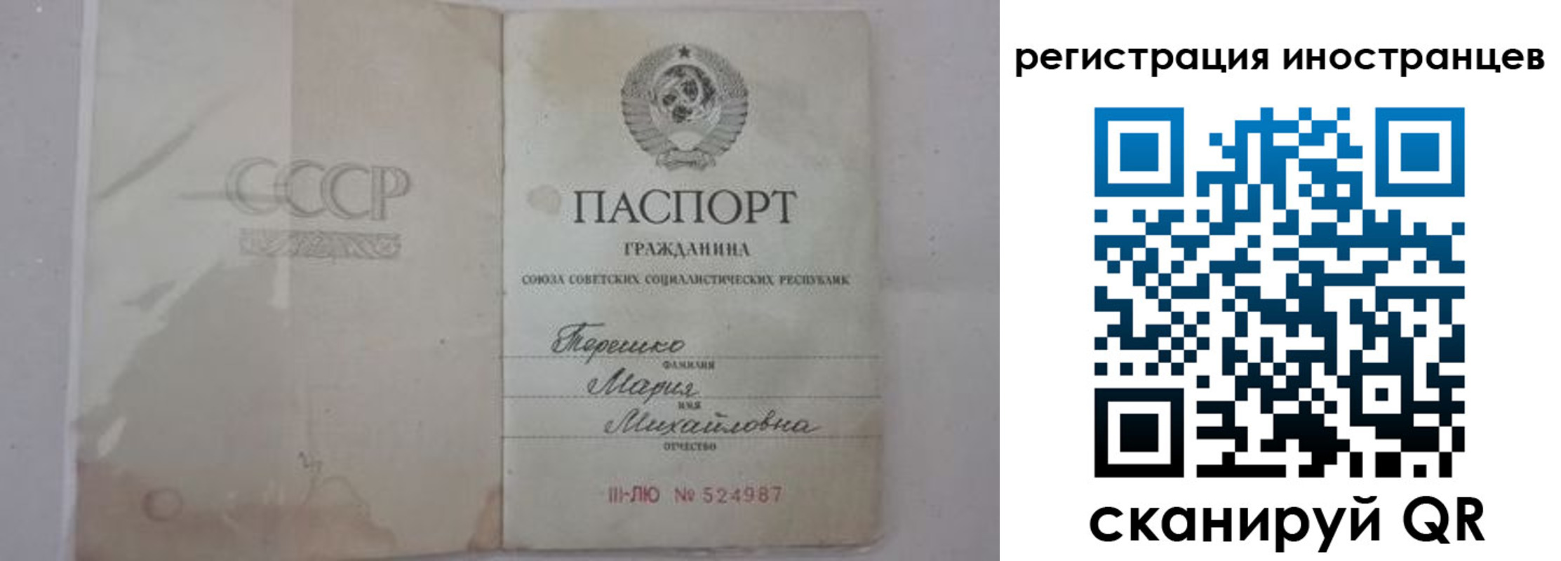 прописка паспорт в Бабаево